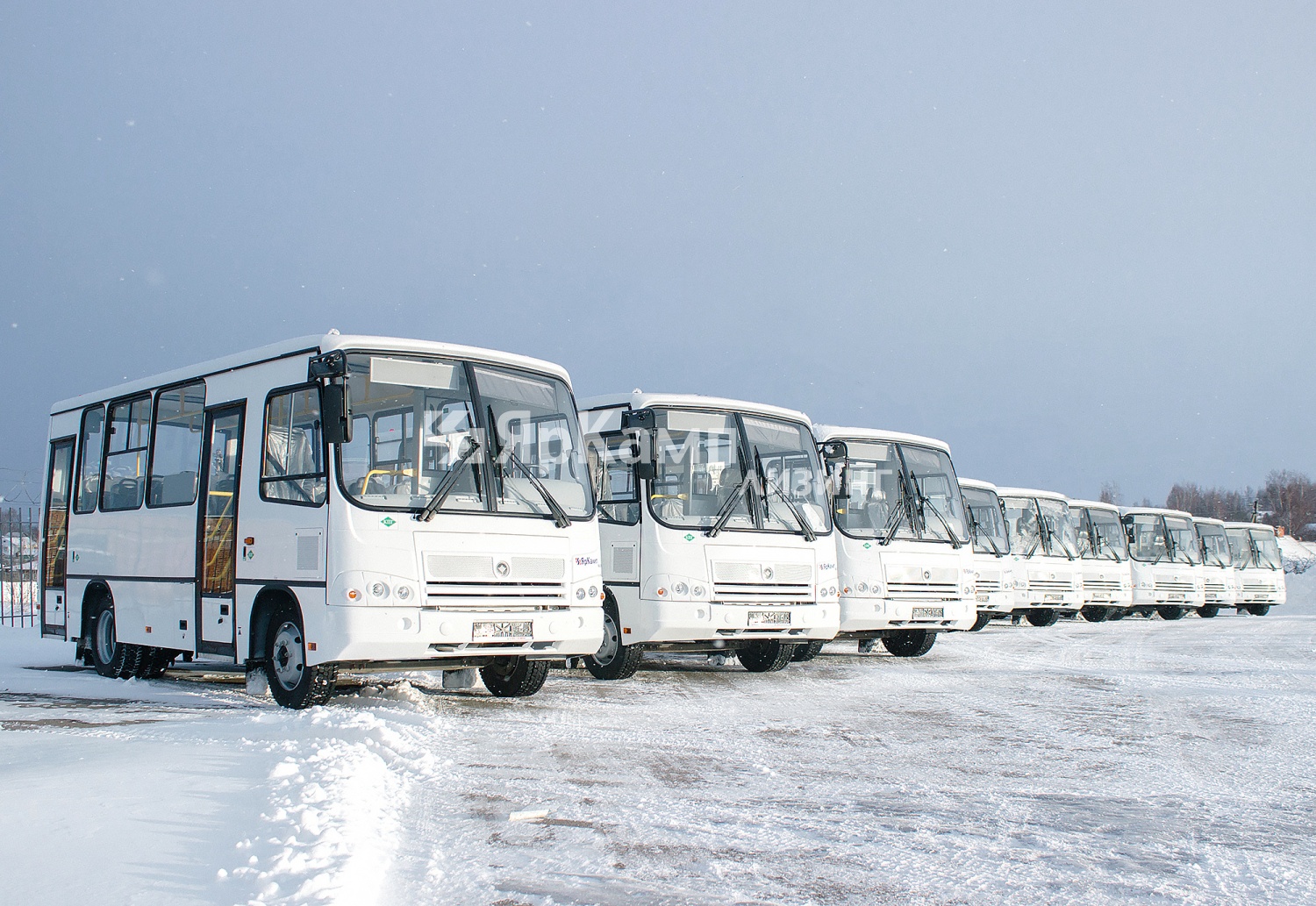 "ЯрКамп-Лизинг" произвел передачу в лизинг 15 автобусов ПАЗ 320302-11