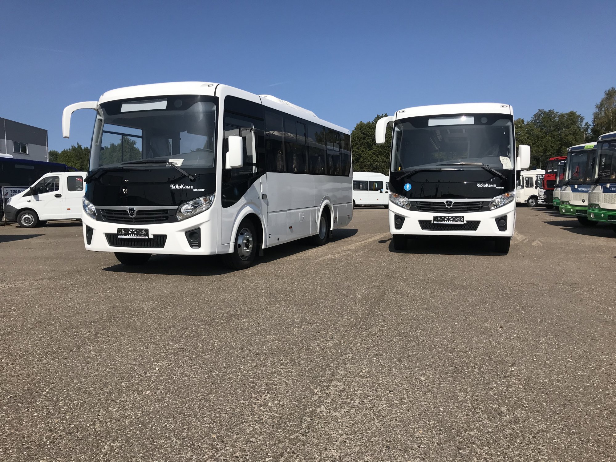 Два автобуса Vector NEXT переданы в лизинг