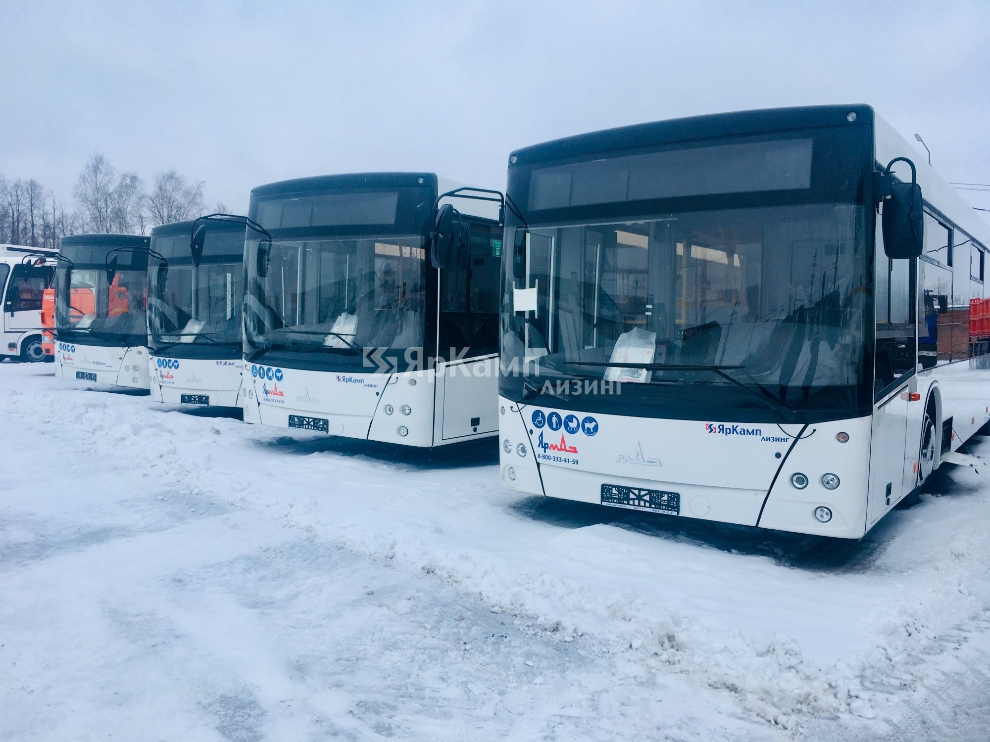 Автобусы МАЗ 103486 переданы в финансовую аренду